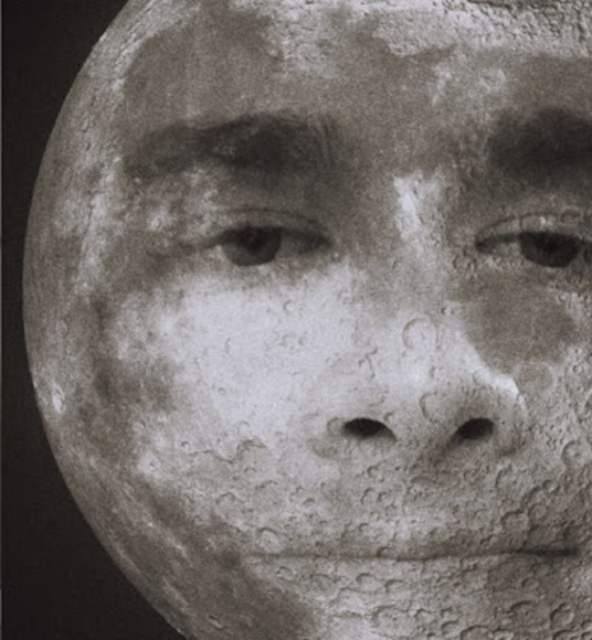 Meet your Posher, Jaden - Picture 1 of 1